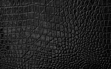 Картинка разное текстуры skin leather кожа texture