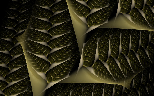 Обои картинки фото 3д графика, фракталы , fractal, узор, фон, цвета