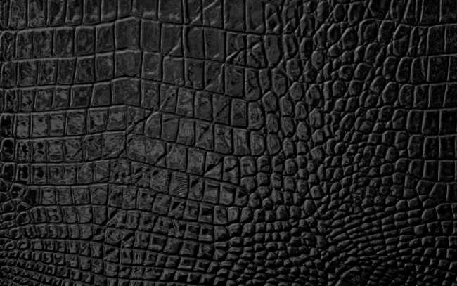 Обои картинки фото разное, текстуры, skin, leather, кожа, texture
