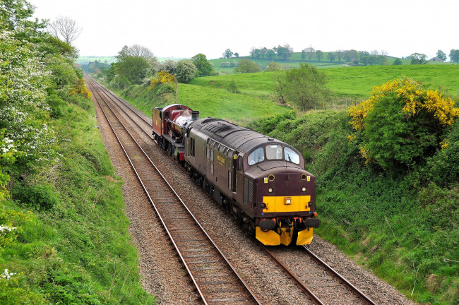 Обои картинки фото техника, поезда, локомотив, дорога, рельсы, состав, железная