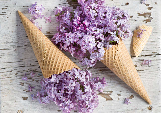 Обои картинки фото цветы, сирень, вафельные, рожки