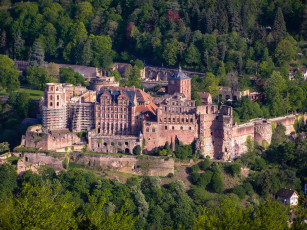 Картинка города замки+германии германия heidelberg castle лес деревья замок