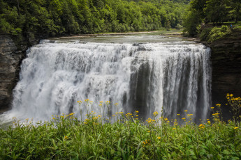 Картинка природа водопады водопад река лес