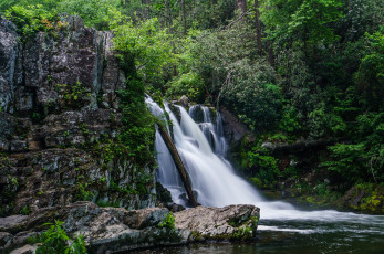 Картинка природа водопады лес водопад река