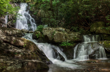 Картинка природа водопады водопад река лес