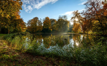 Картинка природа реки озера пруд деревья