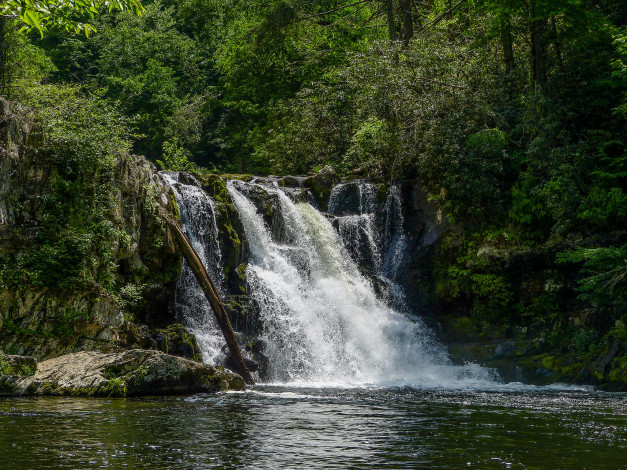 Обои картинки фото природа, водопады, река, водопад, лес