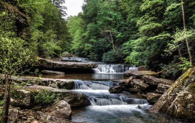 Обои картинки фото природа, водопады, лес, водопад, река