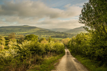 Картинка природа дороги тракт