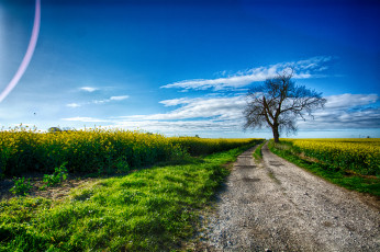 Картинка природа дороги тракт