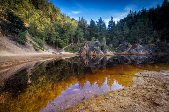 Картинка природа реки озера лес река