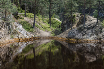 Картинка природа реки озера лес река