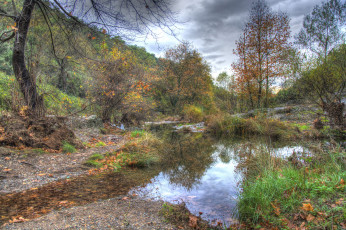 Картинка природа реки озера лес река