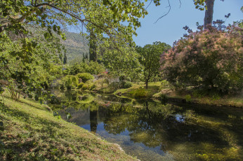 Картинка природа реки озера река лес