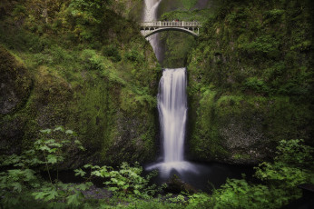 Картинка природа водопады лес водопад река