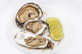 Картинка еда рыба +морепродукты +суши +роллы деликатесы