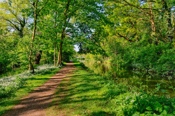 Картинка природа дороги тракт