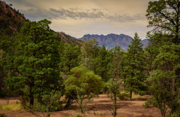 Картинка природа горы простор