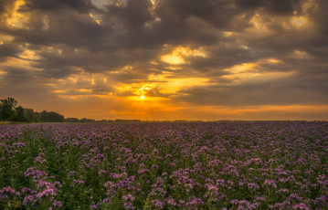 Картинка природа восходы закаты рассвет