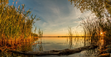 Картинка природа реки озера лес река