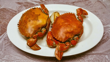 Картинка еда рыба +морепродукты +суши +роллы деликатесы