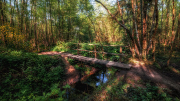 Картинка природа дороги тракт