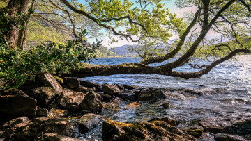 Картинка природа реки озера река лес