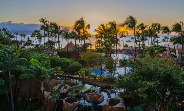 Картинка природа тропики курорт