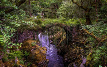 Картинка природа реки озера река лес