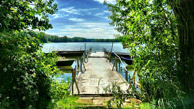 Обои картинки фото природа, реки, озера, река, лес