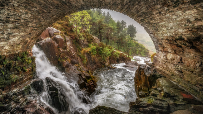 Обои картинки фото природа, водопады, водопад, река, лес