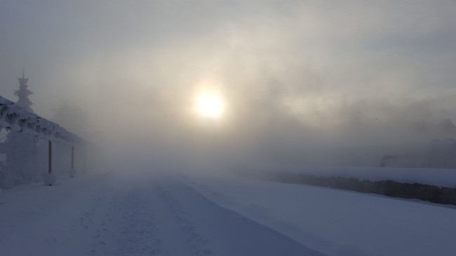 Обои картинки фото природа, зима, иней, снег