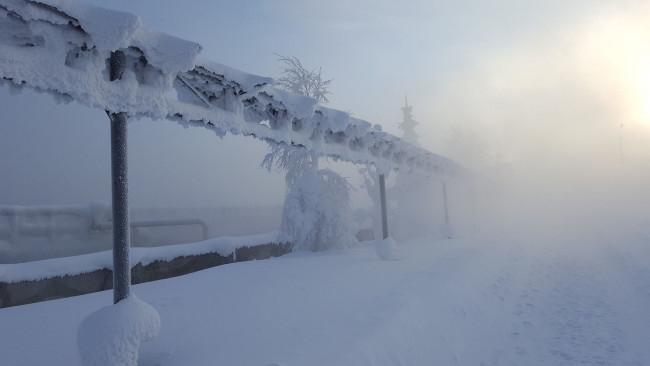 Обои картинки фото природа, зима, иней, снег