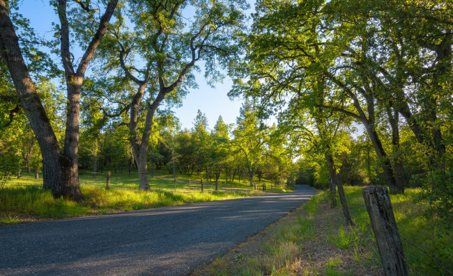 Обои картинки фото природа, дороги, тракт