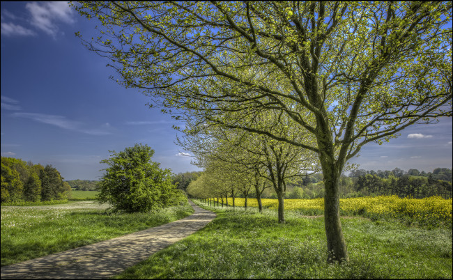 Обои картинки фото природа, дороги, тракт