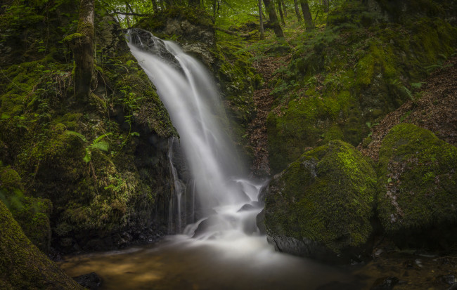 Обои картинки фото природа, водопады, река, водопад, лес