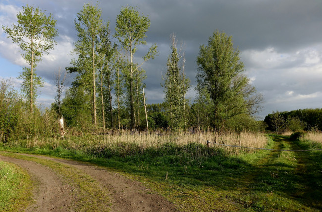 Обои картинки фото природа, дороги, тракт