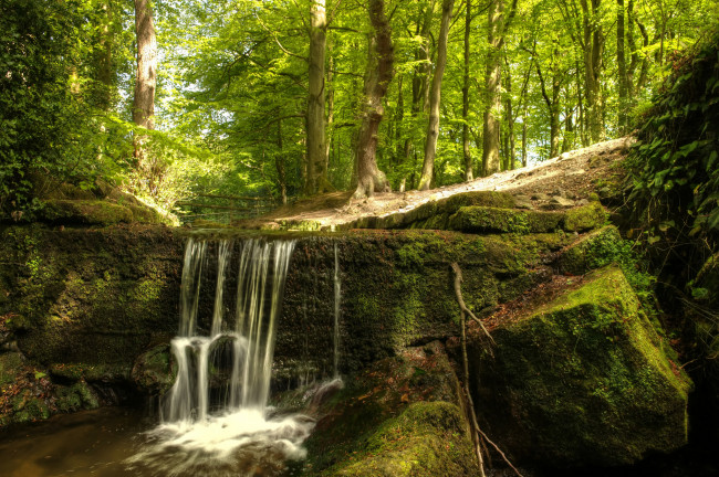 Обои картинки фото природа, водопады, водопад, река, лес