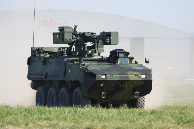 Обои картинки фото pandur, техника, военная техника, австрийский, бронетранспортер