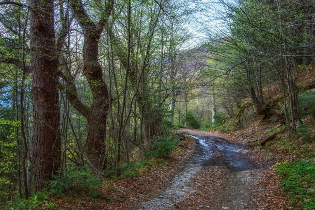 Обои картинки фото природа, дороги, тракт