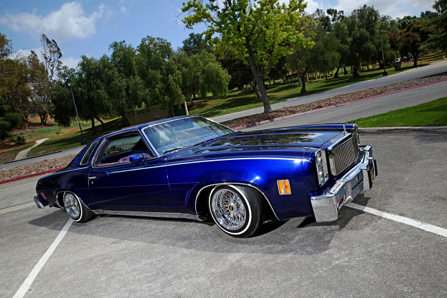 Обои картинки фото 1977-chevrolet-malibu, автомобили, chevrolet