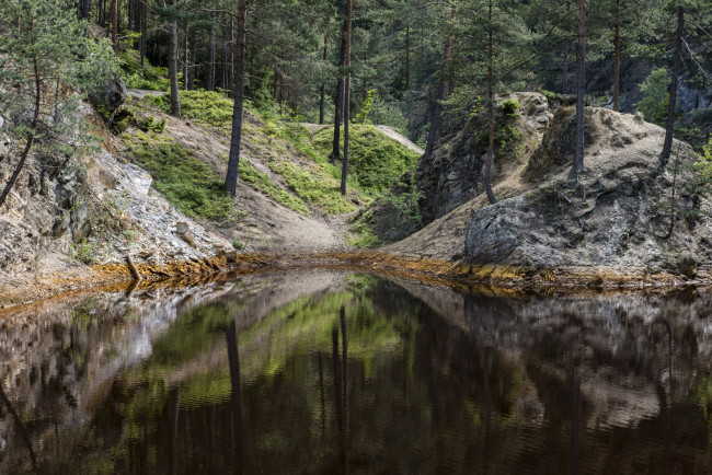 Обои картинки фото природа, реки, озера, лес, река