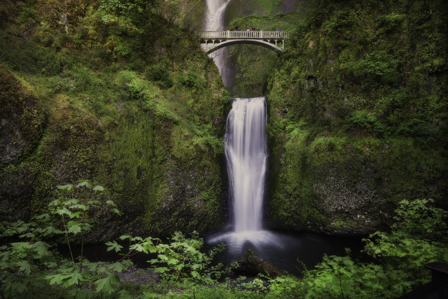 Обои картинки фото природа, водопады, лес, водопад, река