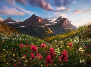 Картинка природа луга простор