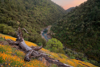 Картинка природа пейзажи простор