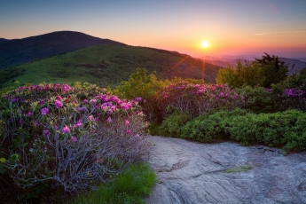 Картинка природа восходы закаты простор