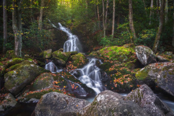 Картинка природа реки озера простор