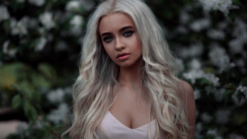 Картинка девушка девушки -unsort+ блондинки +светловолосые модель