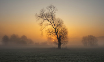 Картинка природа восходы закаты простор