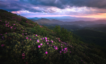 Картинка природа пейзажи простор